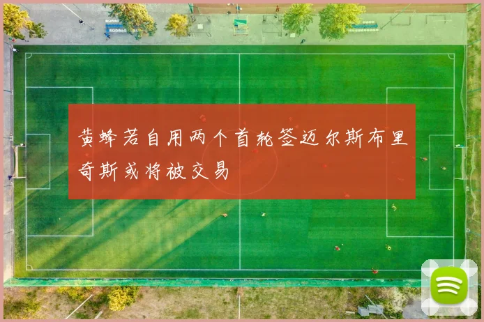 黄蜂若自用两个首轮签迈尔斯布里奇斯或将被交易