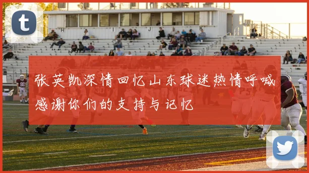 张英凯深情回忆山东球迷热情呼喊感谢你们的支持与记忆